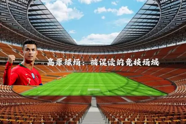 高原球场:被误读的竞技场域